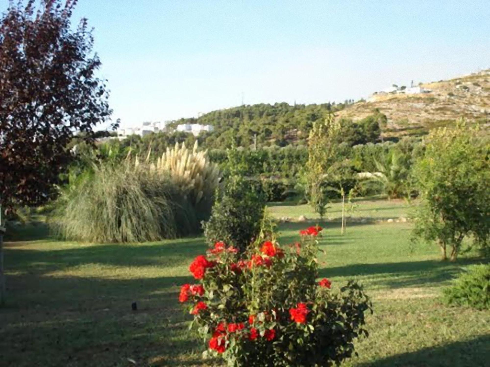 La Piana Di Calena Peschici Exterior foto