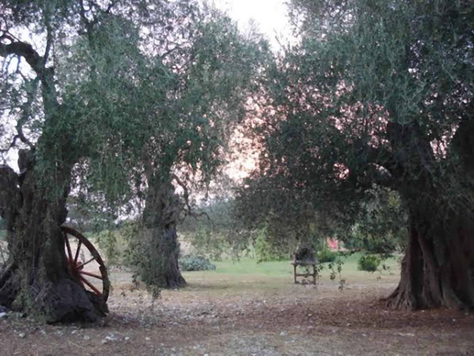 La Piana Di Calena Peschici Exterior foto