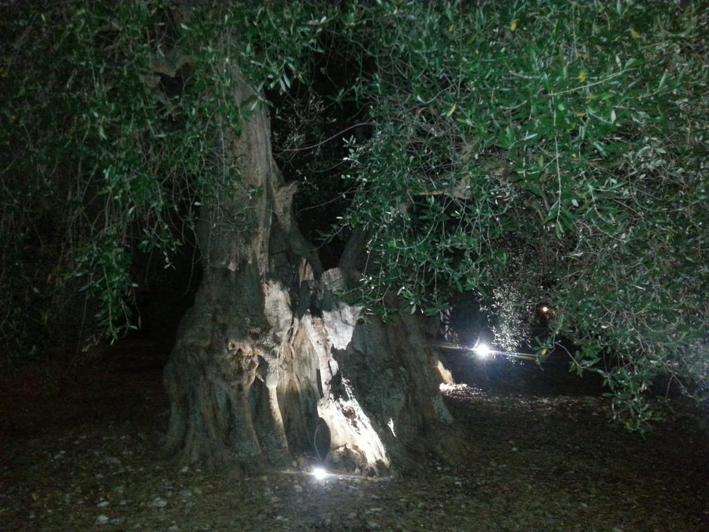 La Piana Di Calena Peschici Exterior foto
