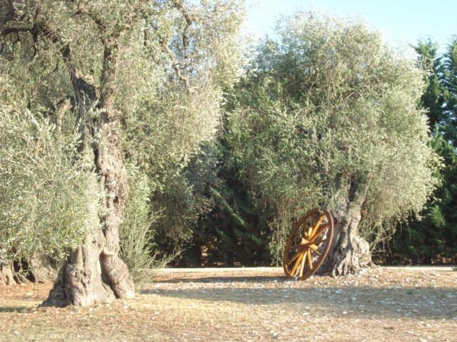 La Piana Di Calena Peschici Quarto foto
